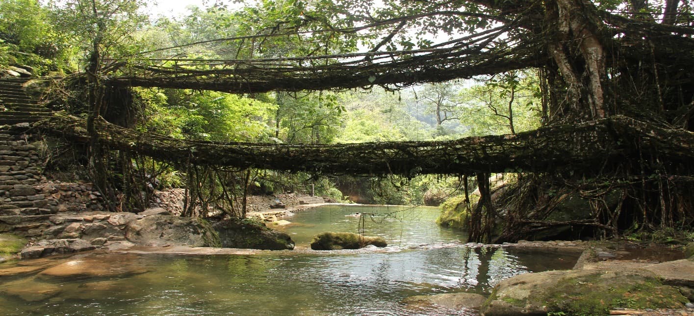 Double Decker Living Root Bridge Trek — image 1