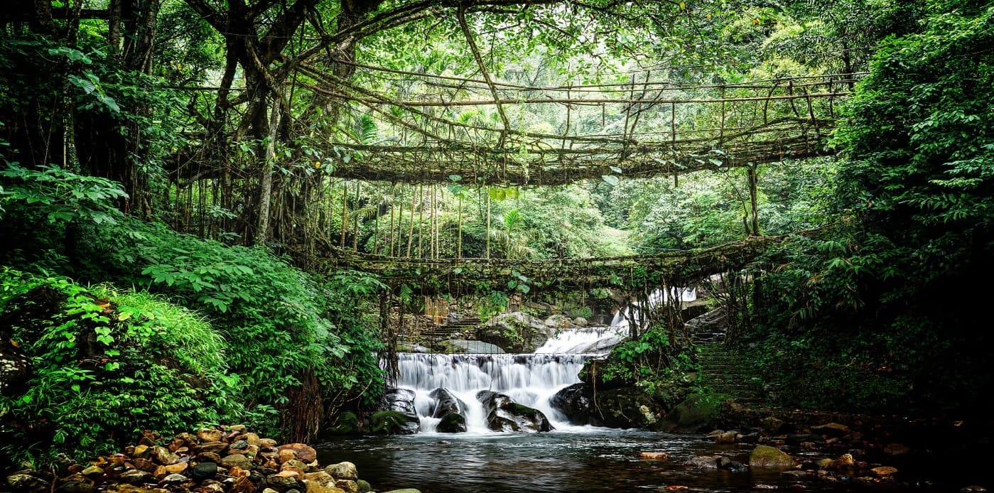 Double Decker Living Root Bridge Trek